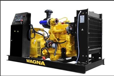 Heavy Duty Diesel Generator